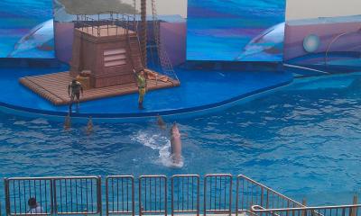 Aquashow